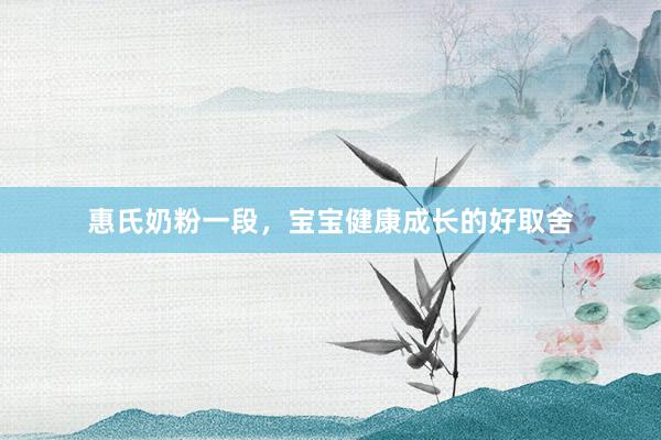 惠氏奶粉一段，宝宝健康成长的好取舍