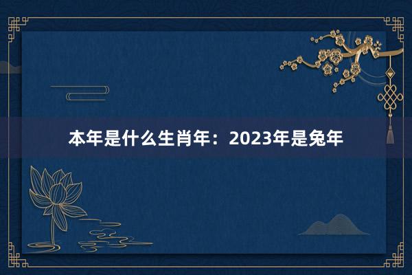 本年是什么生肖年：2023年是兔年