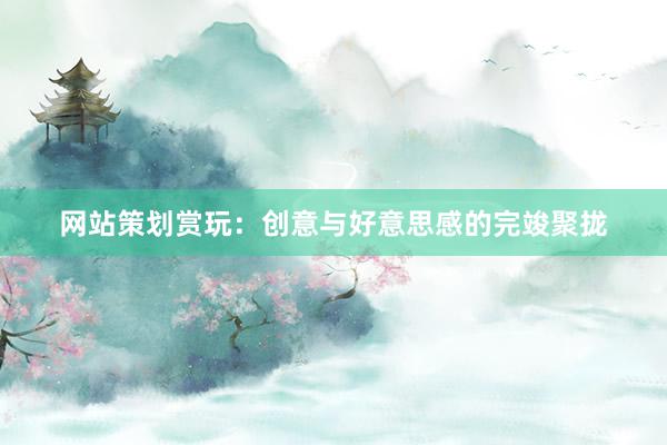 网站策划赏玩：创意与好意思感的完竣聚拢
