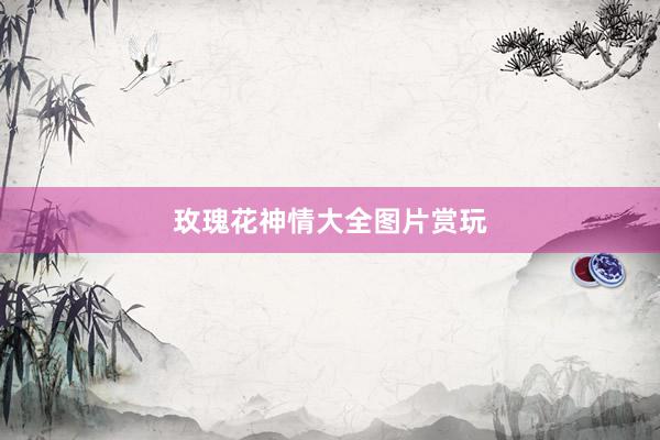 玫瑰花神情大全图片赏玩
