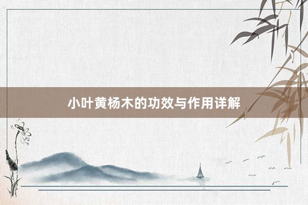 小叶黄杨木的功效与作用详解